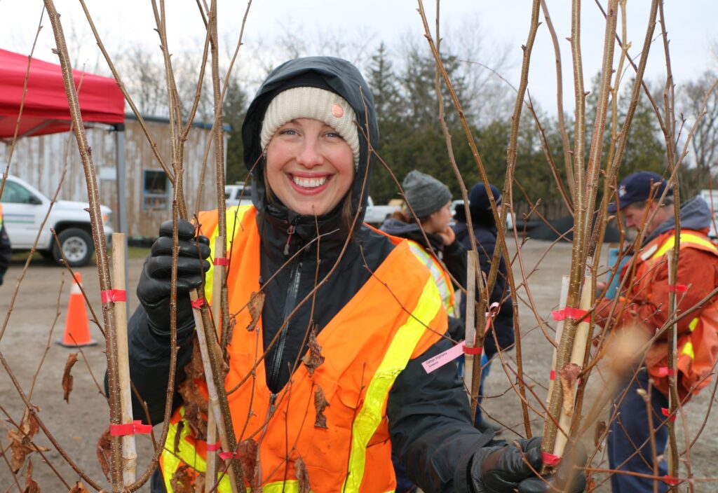 A person holds a tree seedling
