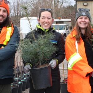 Three people holding potted tree seedlings
