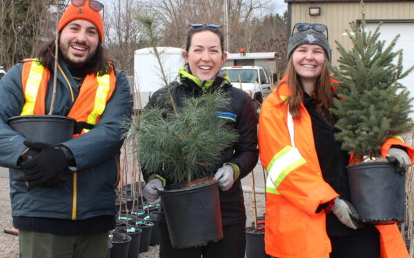 Three people holding potted tree seedlings