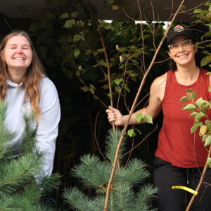 Perth South Tree Power